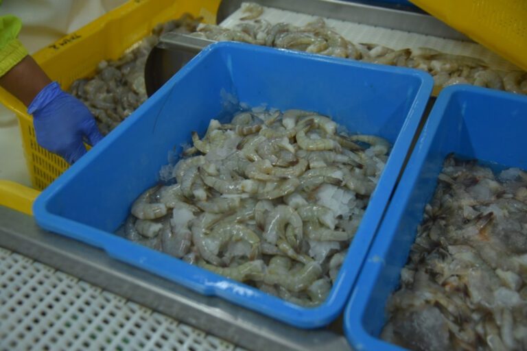 indonesia-eximbank-lembaga-pembiayaan-ekspor-indonesia-lpei-wsx0